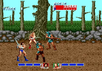 Golden Axe (World) (Sega Smash Pack) screen shot game playing